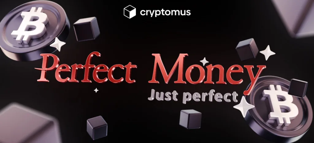 Perfect Money payment logo